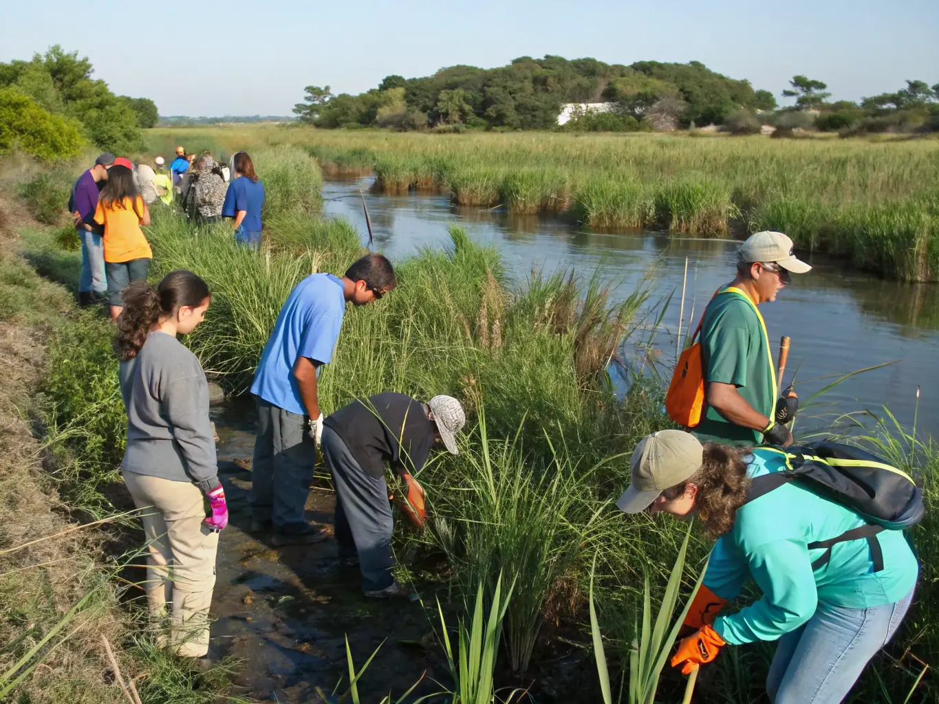 A photograph depicting a group of volunteers planting trees in a deforested area, symbolizing habitat restoration efforts.